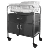 Bassinet_NB-SSxDC_Stainless-Steel-with-Drawer-12-inch-Closed-Cabinet Bassinet_NB-SSxDC_Stainless-Steel-with-Drawer-12-inch-Closed-Cabinet